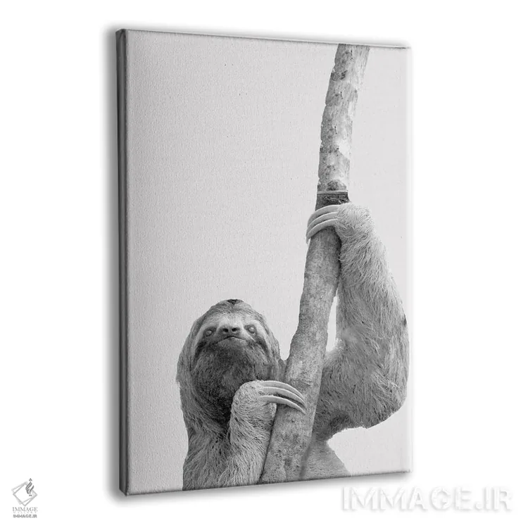 تابلو دکوراتیو تنبل های بامزه II اثر کیمبرلی آلن - نمای پرسپکتیو محصول