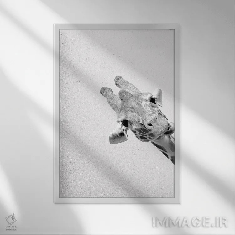 تابلو دکوراتیو زرافه های عجیب III اثر کیمبرلی آلن - نمای قابدار سفید