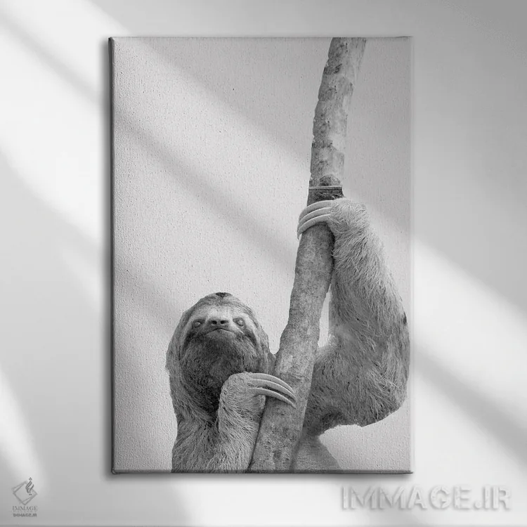 تابلو دکوراتیو تنبل های بامزه II اثر کیمبرلی آلن - نمای روبهرو روی دیوار