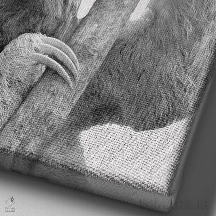 تابلو دکوراتیو تنبل های بامزه II اثر کیمبرلی آلن - نمای نزدیک بافت بوم