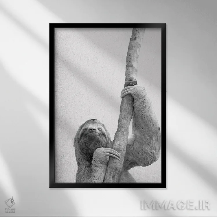 تابلو دکوراتیو تنبل های بامزه II اثر کیمبرلی آلن - نمای قابدار مشکی