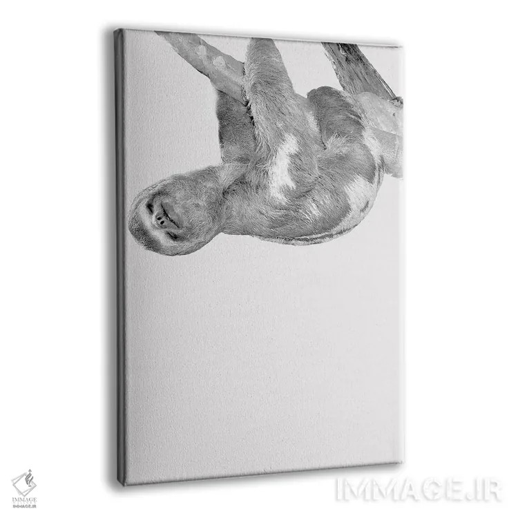 تابلو دکوراتیو تنبل های بامزه III اثر کیمبرلی آلن - نمای پرسپکتیو محصول