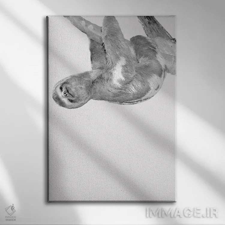 تابلو دکوراتیو تنبل های بامزه III اثر کیمبرلی آلن - نمای روبهرو روی دیوار