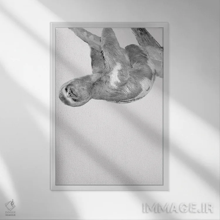 تابلو دکوراتیو تنبل های بامزه III اثر کیمبرلی آلن - نمای قابدار سفید