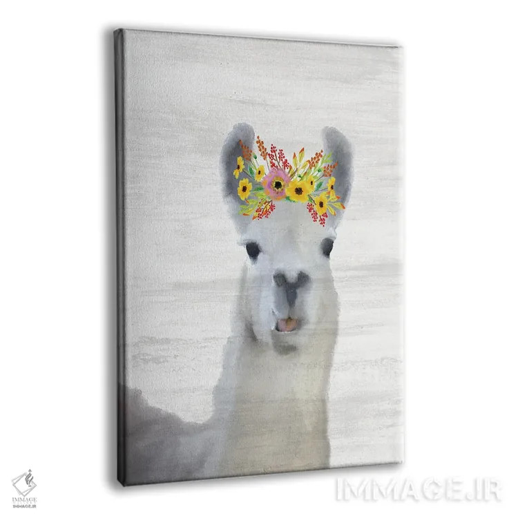 تابلو دکوراتیو لامای بچه اثر کیمبرلی آلن - نمای پرسپکتیو محصول