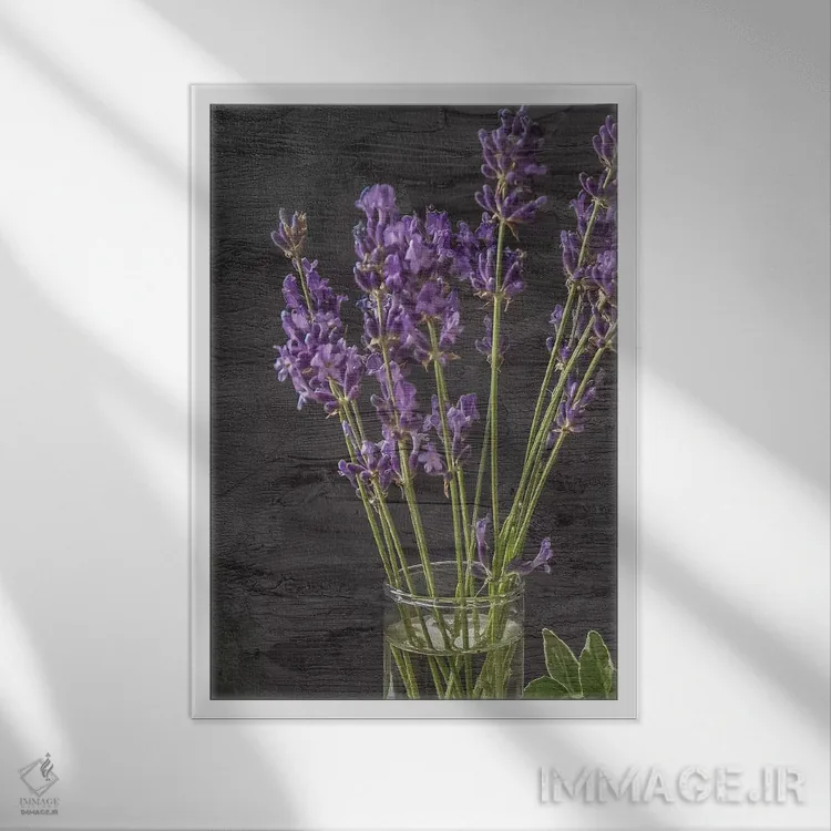 تابلو دکوراتیو شیشه اسطوخودوس اثر کیمبرلی آلن - نمای قابدار سفید