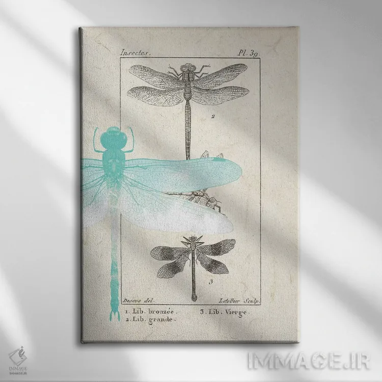 تابلو دکوراتیو راهنمای میدانی I اثر کیمبرلی آلن - نمای روبهرو روی دیوار