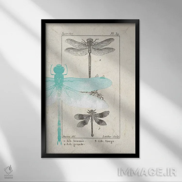 تابلو دکوراتیو راهنمای میدانی I اثر کیمبرلی آلن - نمای قابدار مشکی