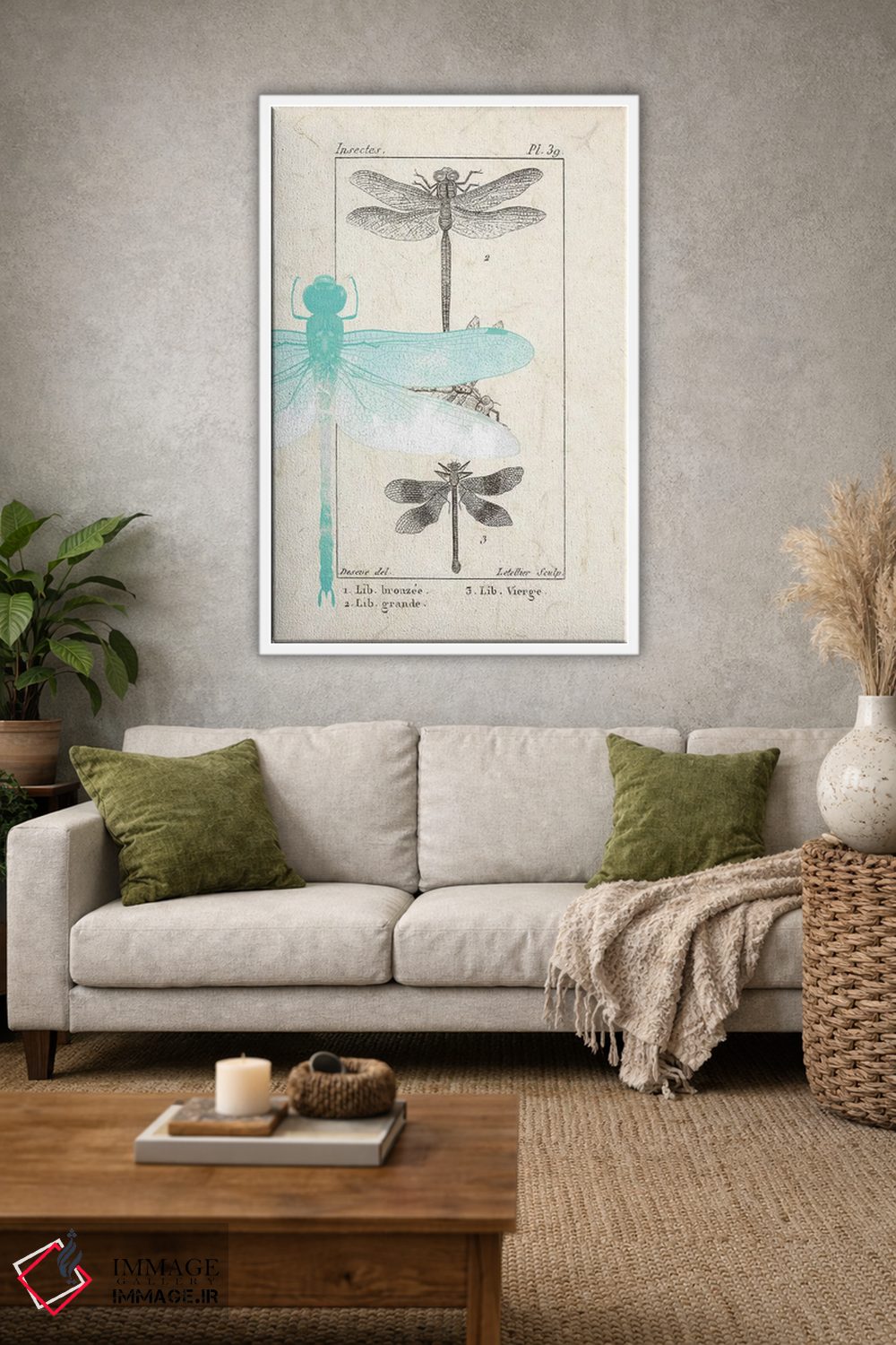 تابلو دکوراتیو راهنمای میدانی I اثر کیمبرلی آلن - D1W