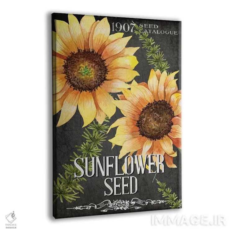 تابلو دکوراتیو دانه آفتابگردان اثر کیمبرلی آلن - نمای پرسپکتیو محصول