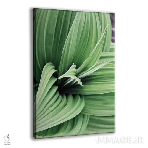 تابلو دکوراتیو شکوفه های برگ سبز ۲ اثر کتی منسفیلد - نمای پرسپکتیو محصول