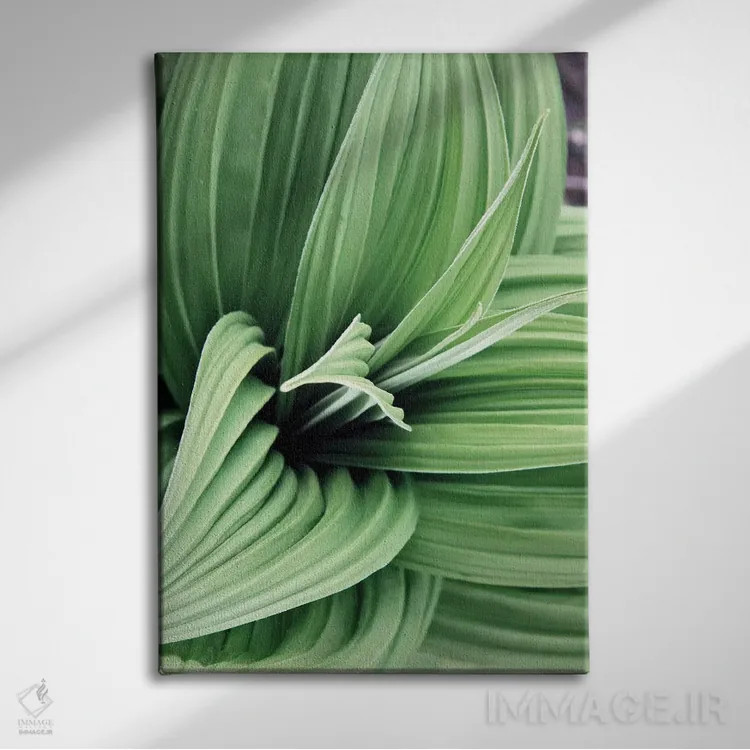 تابلو دکوراتیو شکوفه های برگ سبز ۲ اثر کتی منسفیلد - نمای روبهرو روی دیوار