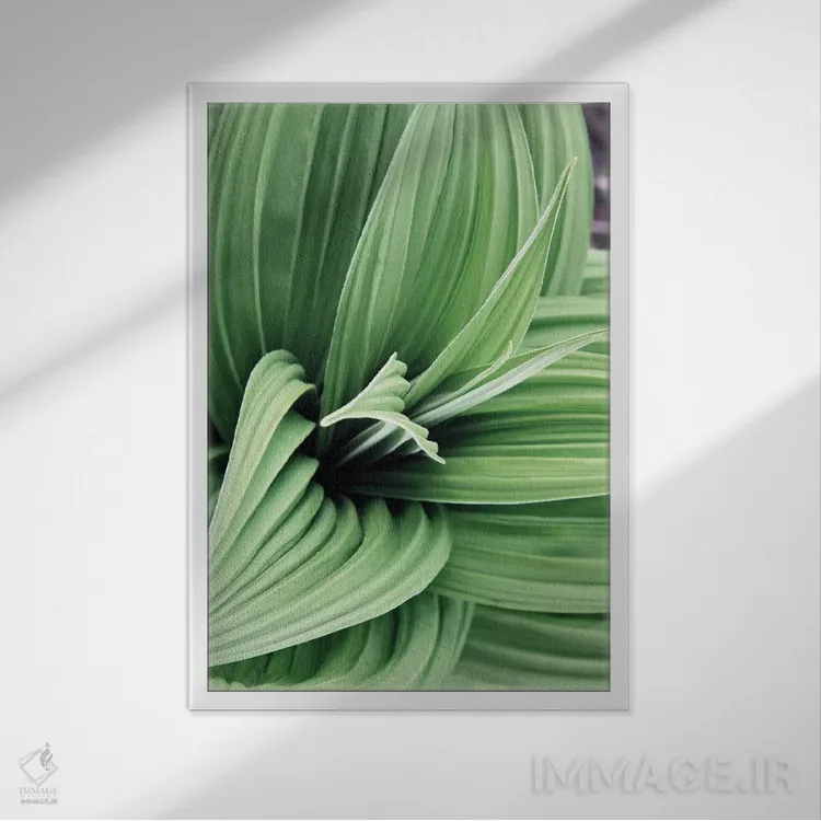 تابلو دکوراتیو شکوفه های برگ سبز ۲ اثر کتی منسفیلد - نمای قابدار سفید