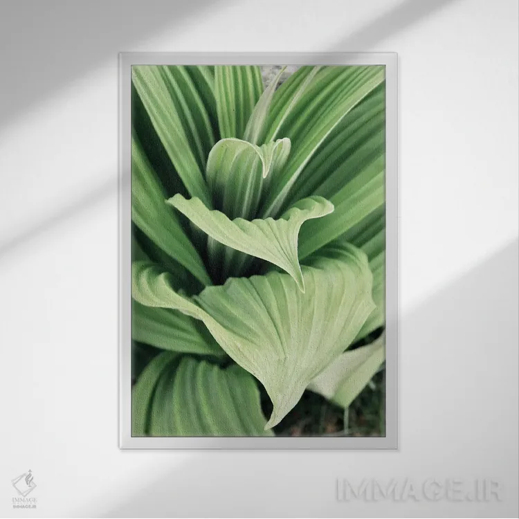 تابلو دکوراتیو شکوفه های برگ سبز ۱ اثر کتی منسفیلد - نمای قابدار سفید