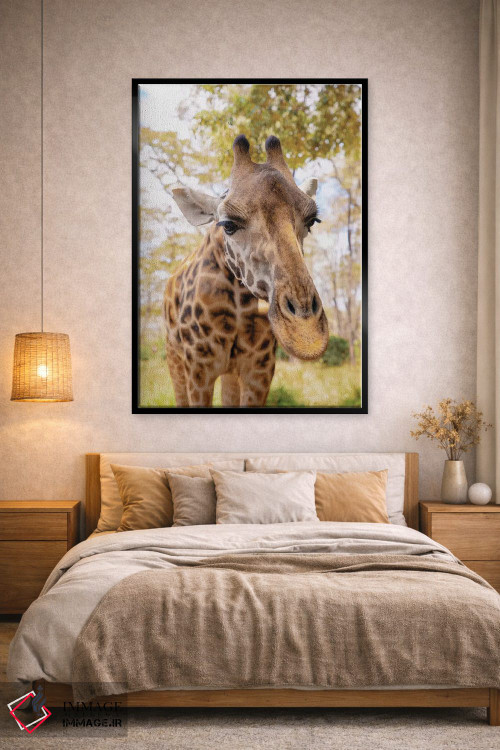 تابلو دکوراتیو زرافه کنجکاو اثر کتی منسفیلد - D2B