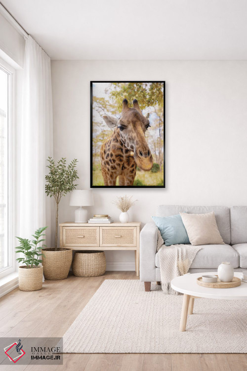 تابلو دکوراتیو زرافه کنجکاو اثر کتی منسفیلد - D4B