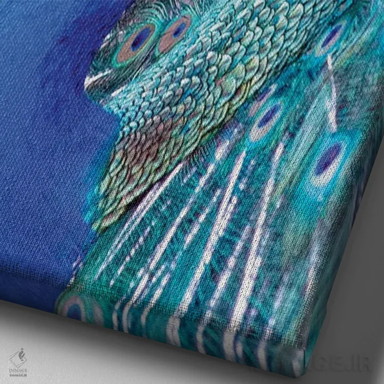 تابلو دکوراتیو Central America. India Blue Peacock displaying.,کاستاری… اثر کارن ان سالیوان - نمای نزدیک بافت بوم