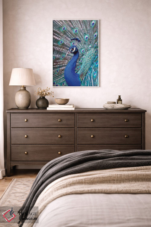 تابلو دکوراتیو Central America. India Blue Peacock displaying.,کاستاری… اثر کارن ان سالیوان - D2W