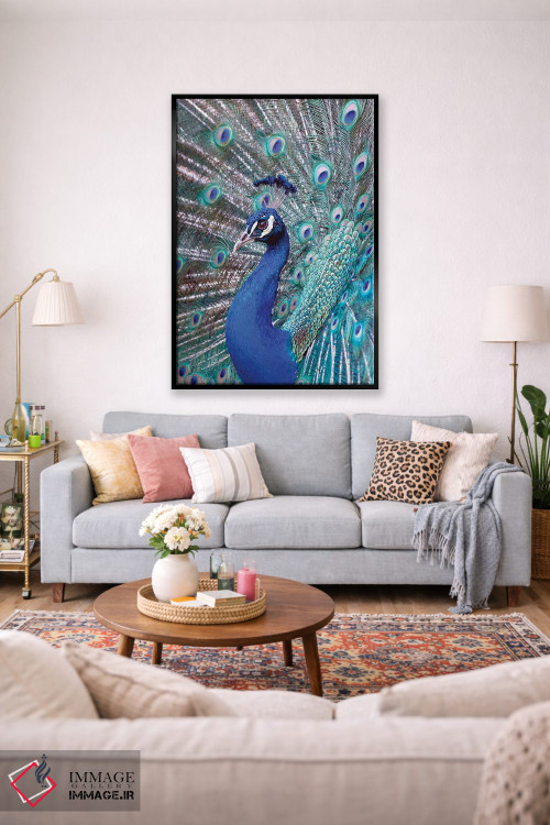 تابلو دکوراتیو Central America. India Blue Peacock displaying.,کاستاری… اثر کارن ان سالیوان - D1B