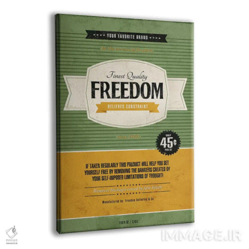 تابلو دکوراتیو آزادی اثر استر کی - نمای پرسپکتیو محصول