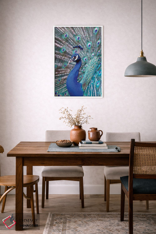 تابلو دکوراتیو Central America. India Blue Peacock displaying.,کاستاری… اثر کارن ان سالیوان - D6W