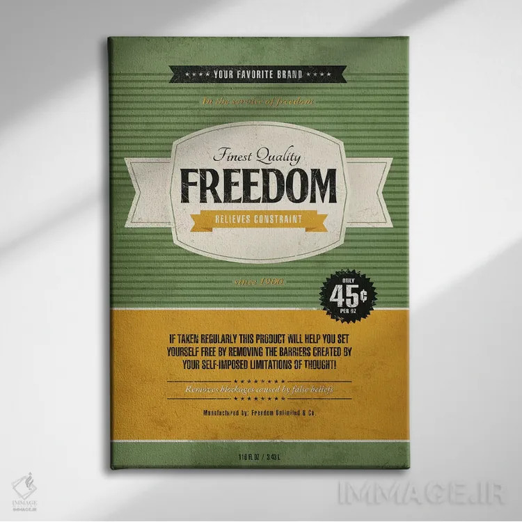 تابلو دکوراتیو آزادی اثر استر کی - نمای روبهرو روی دیوار