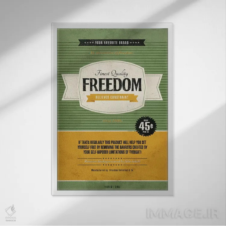 تابلو دکوراتیو آزادی اثر استر کی - نمای قابدار سفید