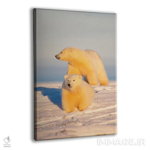 تابلو دکوراتیو Area 1002, Coastal Plain, Arctic National Wildlife Refug… اثر استیو کازلوسکی - نمای پرسپکتیو محصول