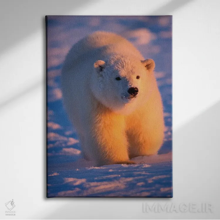 تابلو دکوراتیو Ursus Maritimus, Cub On The Pack Ice At Sunset, 1002 Are… اثر استیو کازلوسکی - نمای روبهرو روی دیوار