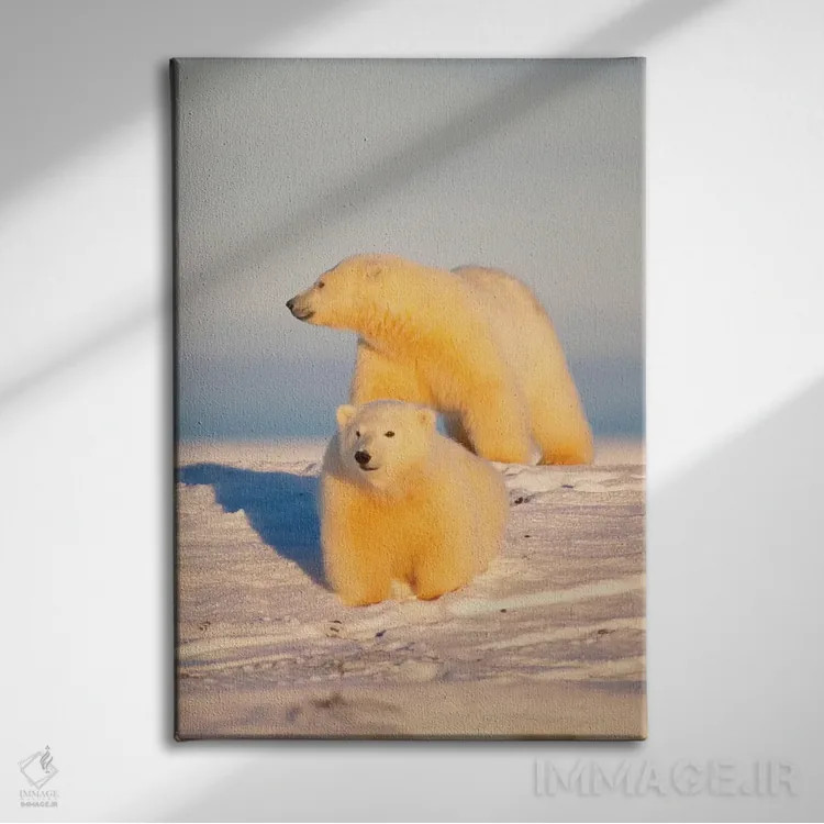 تابلو دکوراتیو Area 1002, Coastal Plain, Arctic National Wildlife Refug… اثر استیو کازلوسکی - نمای روبهرو روی دیوار
