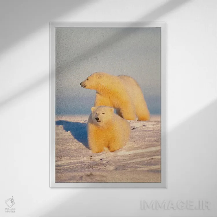 تابلو دکوراتیو Area 1002, Coastal Plain, Arctic National Wildlife Refug… اثر استیو کازلوسکی - نمای قابدار سفید