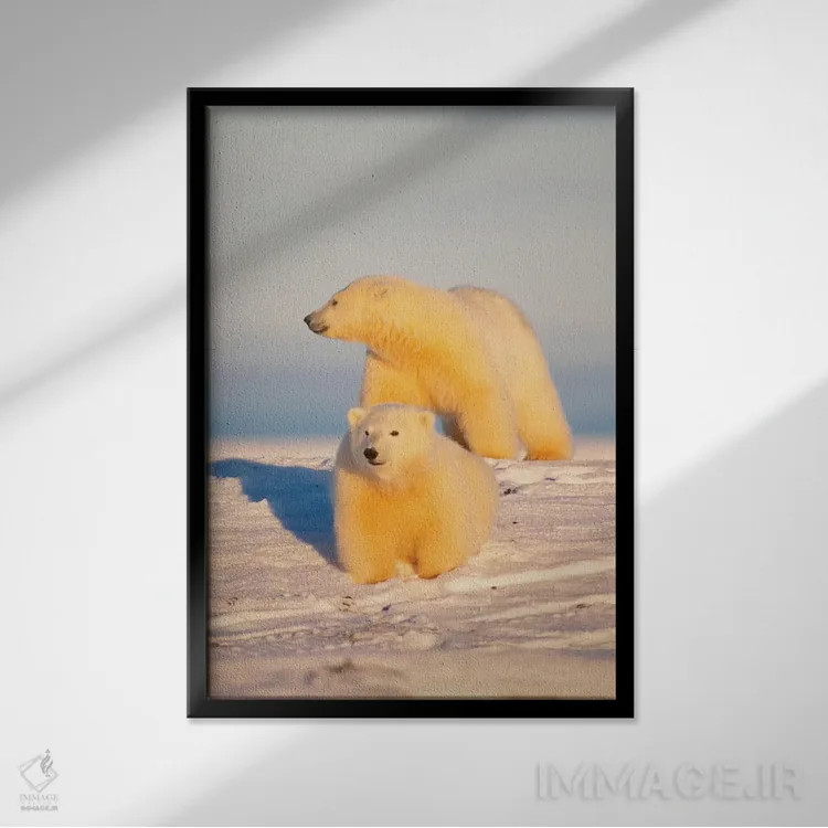 تابلو دکوراتیو Area 1002, Coastal Plain, Arctic National Wildlife Refug… اثر استیو کازلوسکی - نمای قابدار مشکی
