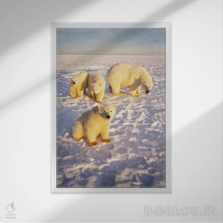 تابلو دکوراتیو Alaska,ماده خرس قطبی با سه توله بهاری روی اقیانوس یخ زده… اثر استیو کازلوسکی - نمای قابدار سفید