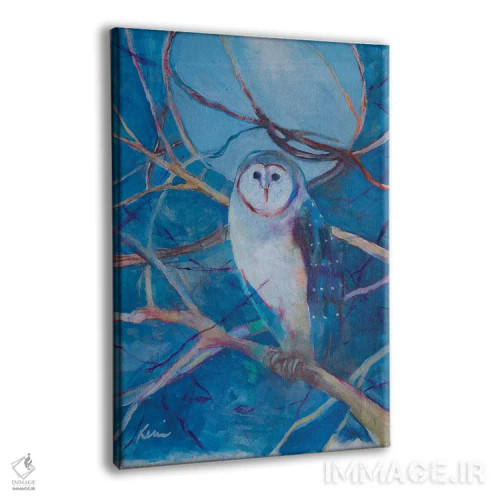 تابلو دکوراتیو دید در شب اثر کری مک کیب - نمای پرسپکتیو محصول