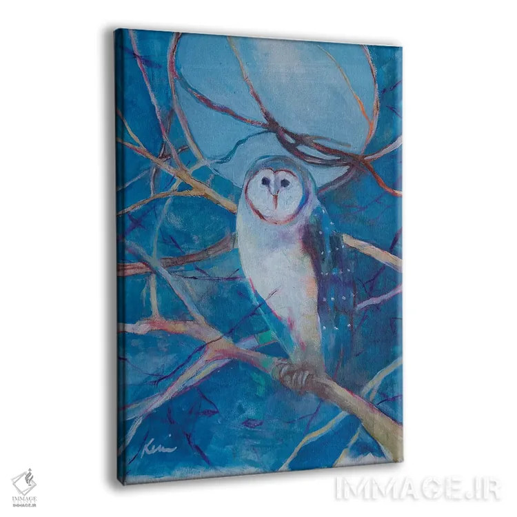 تابلو دکوراتیو دید در شب اثر کری مک کیب - نمای پرسپکتیو محصول