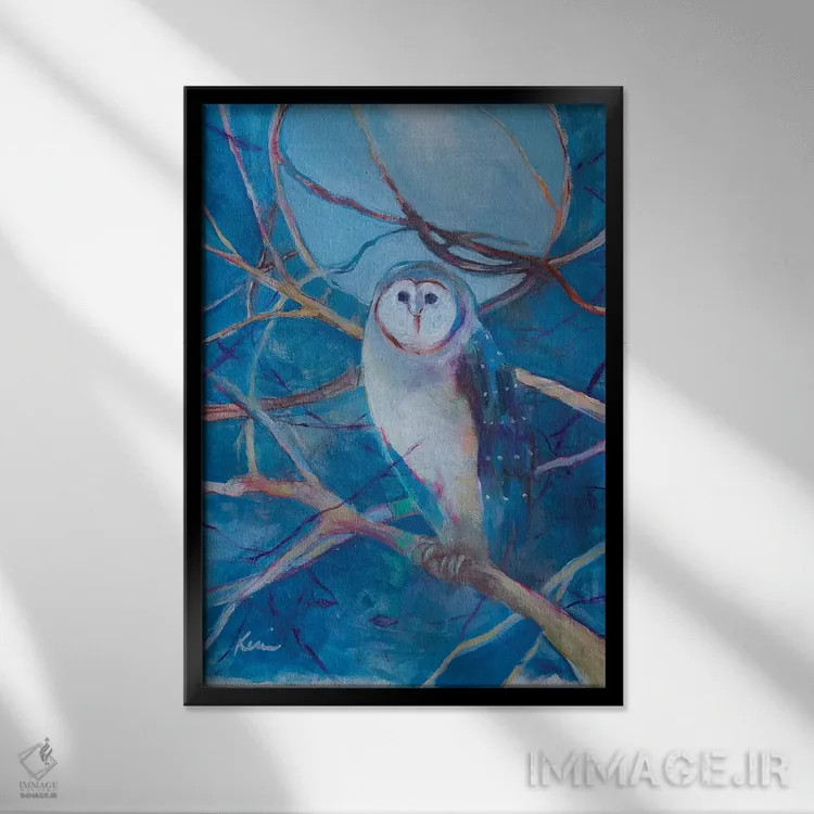 تابلو دکوراتیو دید در شب اثر کری مک کیب - نمای قابدار مشکی