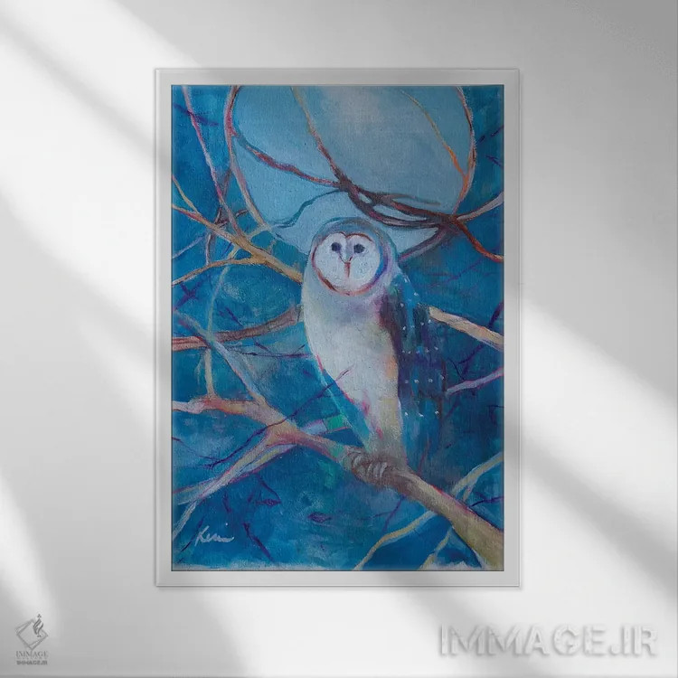 تابلو دکوراتیو دید در شب اثر کری مک کیب - نمای قابدار سفید