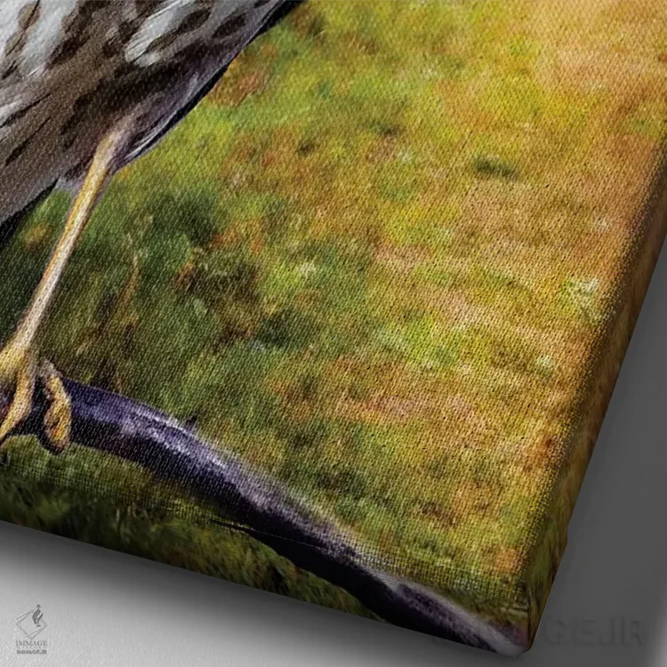 تابلو دکوراتیو شاهین جادوگر اثر کارن بورک - نمای نزدیک بافت بوم