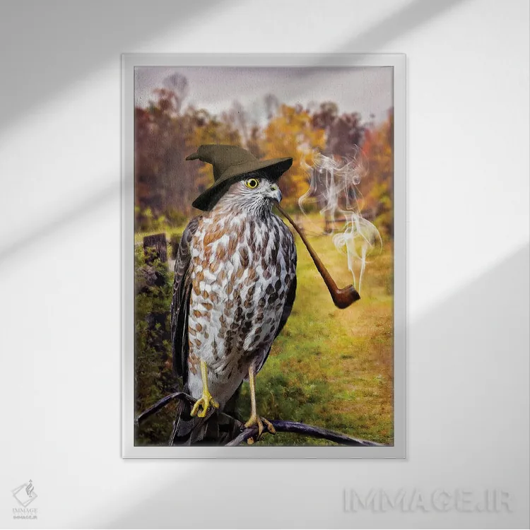 تابلو دکوراتیو شاهین جادوگر اثر کارن بورک - نمای قابدار سفید