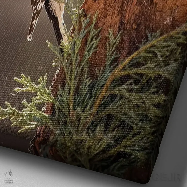 تابلو دکوراتیو دارکوب داونی اثر کارن بورک - نمای نزدیک بافت بوم
