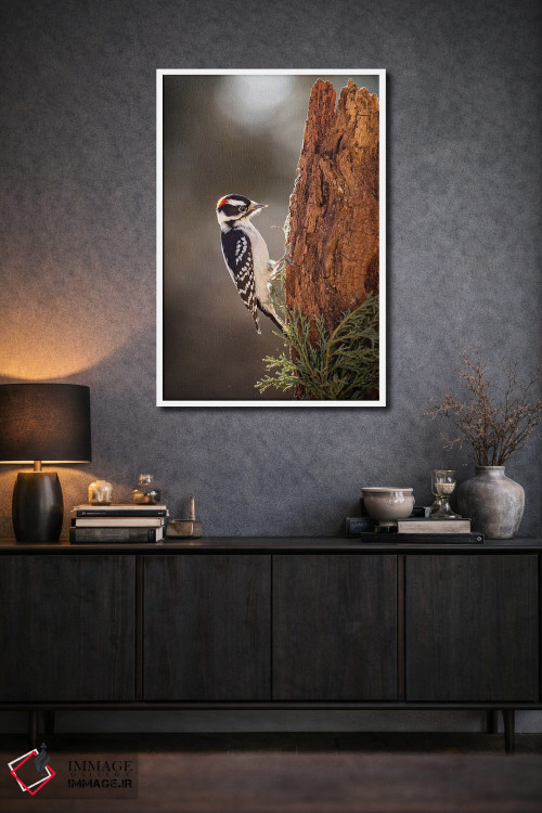 تابلو دکوراتیو دارکوب داونی اثر کارن بورک - D2W