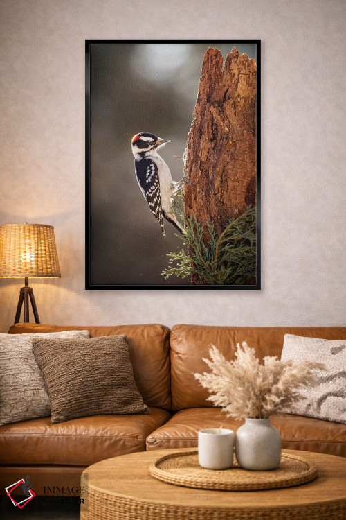 تابلو دکوراتیو دارکوب داونی اثر کارن بورک - D4B