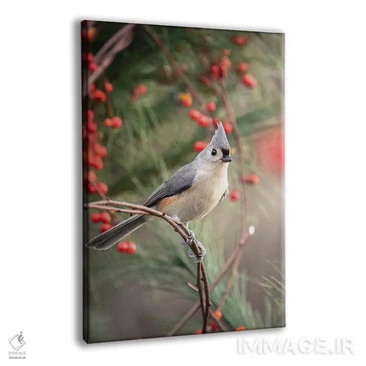 تابلو دکوراتیو موش تیغی کاکل دار و توت قرمز اثر کارن بورک - نمای پرسپکتیو محصول