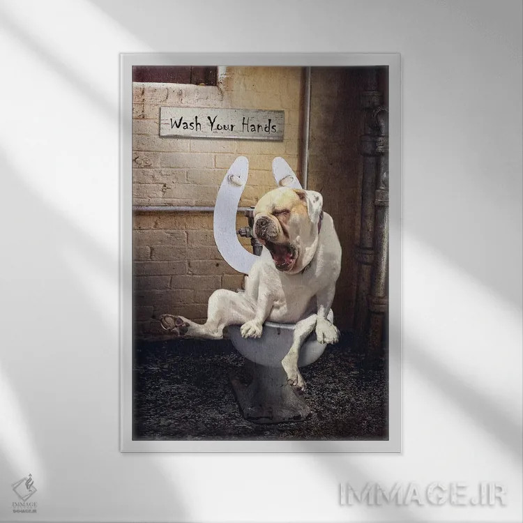 تابلو دکوراتیو دردسرهای دستشویی اثر کارن بورک - نمای قابدار سفید