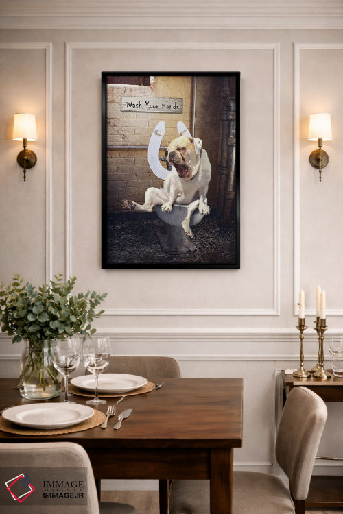 تابلو دکوراتیو دردسرهای دستشویی اثر کارن بورک - D2B