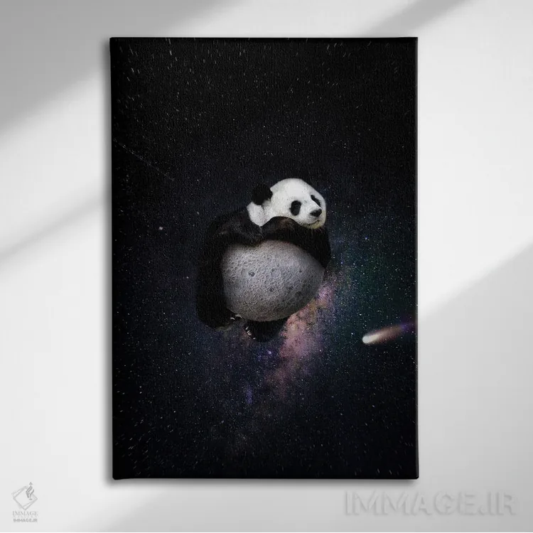 تابلو دکوراتیو مسافر روح اثر کارن کانتوک - نمای روبهرو روی دیوار