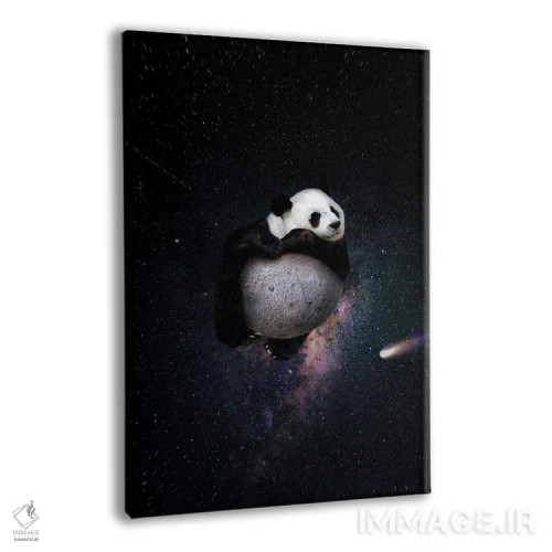 تابلو دکوراتیو مسافر روح اثر کارن کانتوک - نمای پرسپکتیو محصول