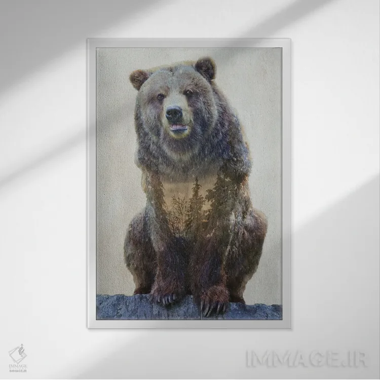 تابلو دکوراتیو خرس گریزلی اثر کیم کورینگا - نمای قابدار سفید