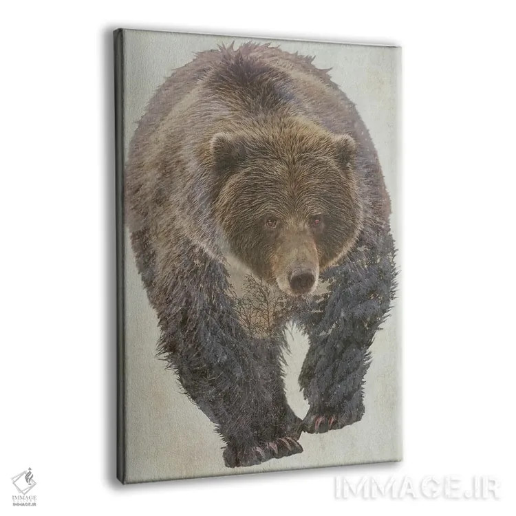 تابلو دکوراتیو خرس قهوه ای اثر کیم کورینگا - نمای پرسپکتیو محصول