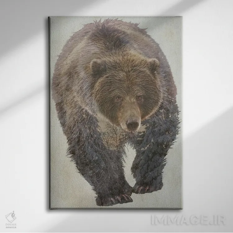 تابلو دکوراتیو خرس قهوه ای اثر کیم کورینگا - نمای روبهرو روی دیوار